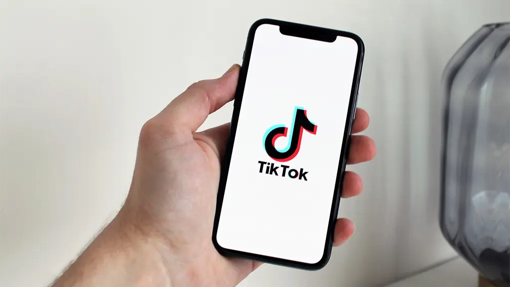 【中小企業必見】TikTok成功事例13選！商品・サービスのジャンル